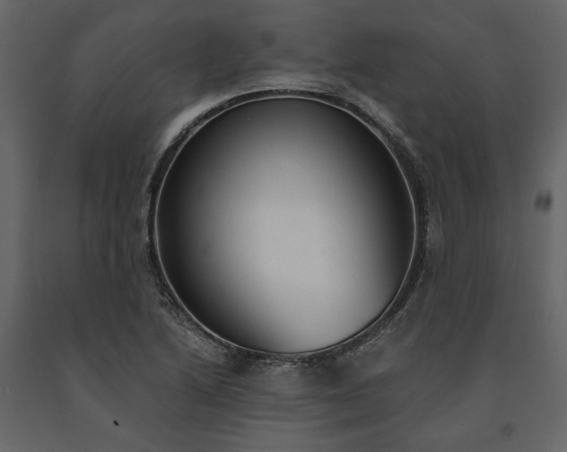 X0000091521222200708241643