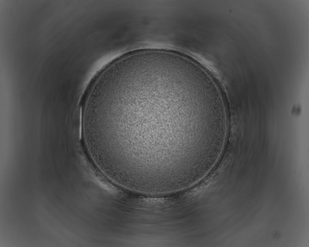 X0000091521223200708241643