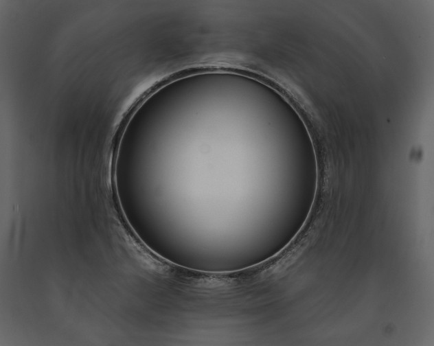 X0000091521224200708241643
