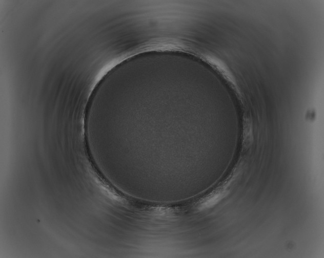 X0000091521226200708241643