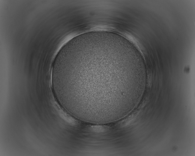 X0000091521227200708241643