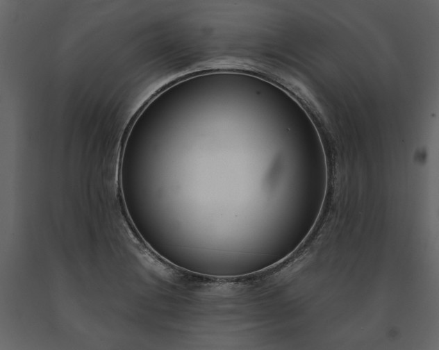 X0000091521228200708241643