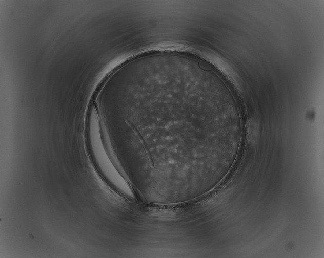 X0000091521229200708241643