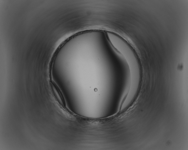 X0000091521230200708241643