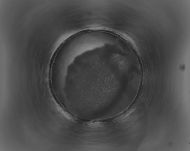 X0000091521231200708241643