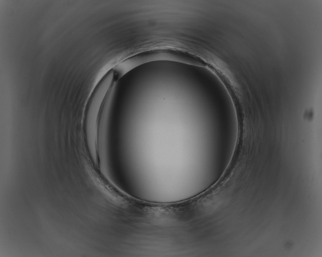 X0000091521234200708241643