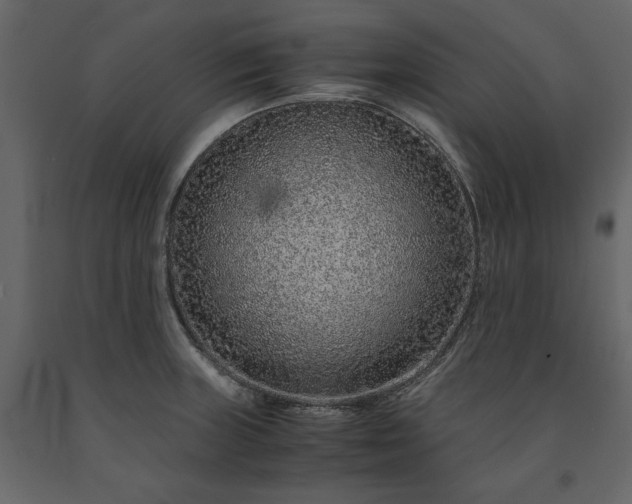 X0000091521235200708241643