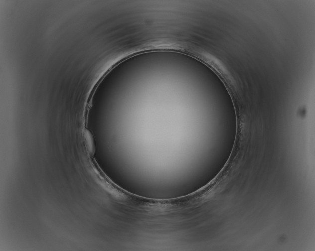 X0000091521236200708241643