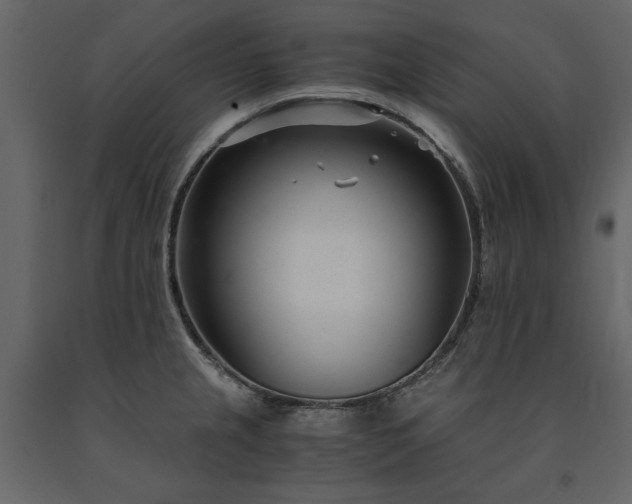 X0000091521237200708241643
