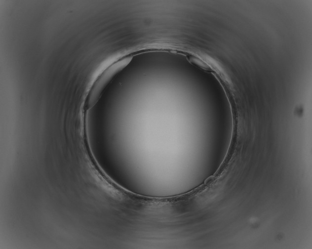 X0000091521238200708241643