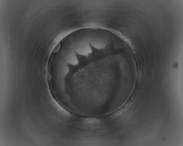X0000091521239200708241643