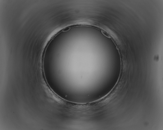X0000091521240200708241643