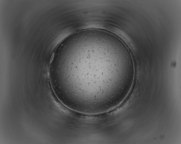 X0000091521241200708241643