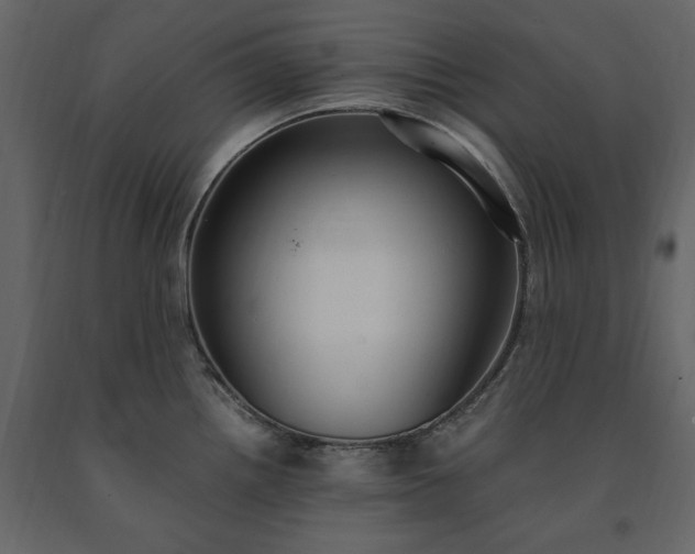 X0000091521242200708241643