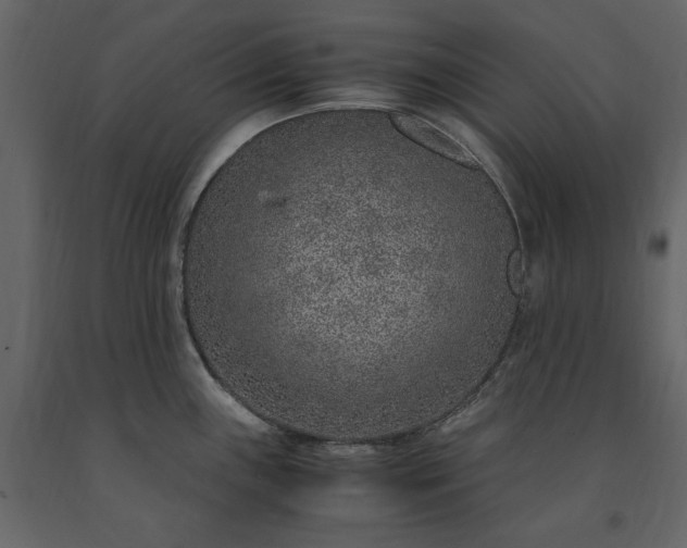 X0000091521243200708241643