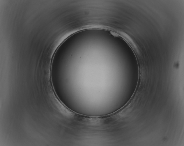 X0000091521244200708241643