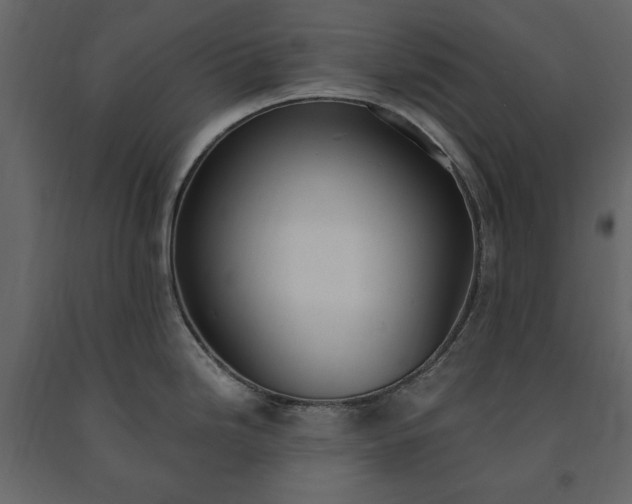X0000091521246200708241643