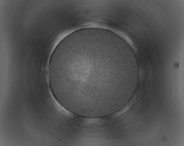 X0000091521247200708241643