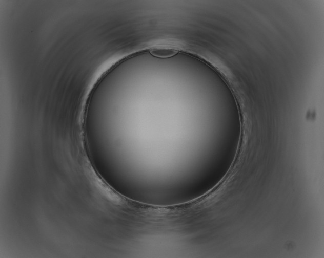 X0000091521248200708241643