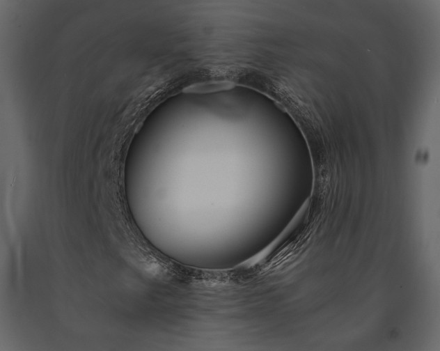 X0000091521249200708241642