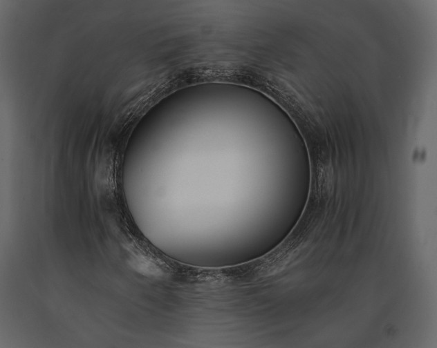 X0000091521250200708241642