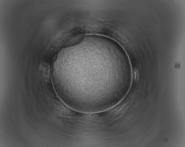 X0000091521251200708241642