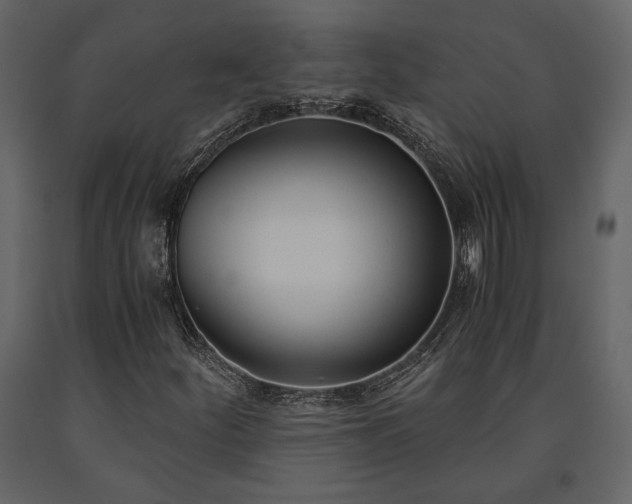 X0000091521252200708241642