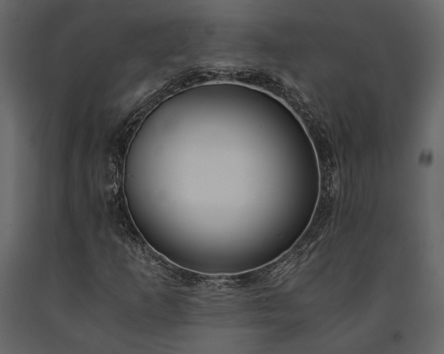 X0000091521253200708241642