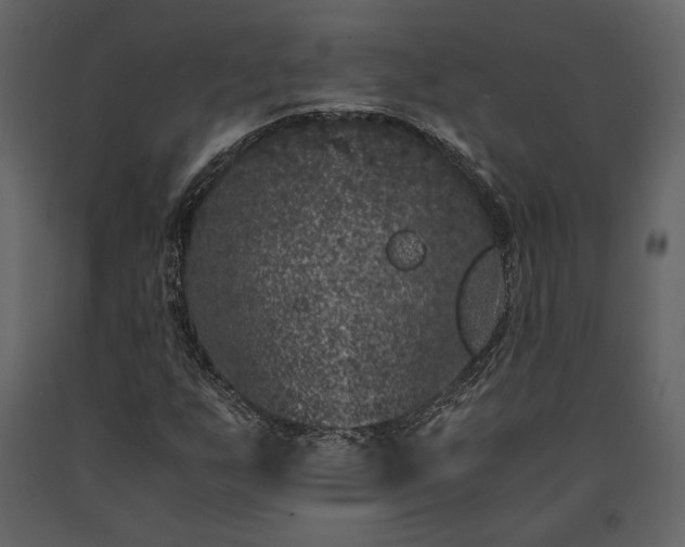 X0000091521255200708241642
