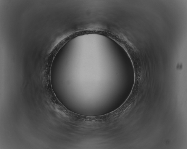 X0000091521256200708241642