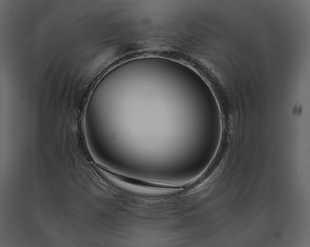 X0000091521257200708241642