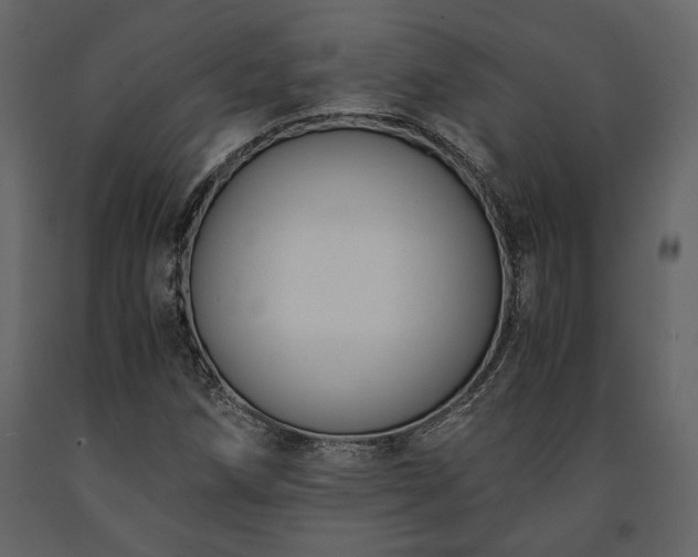 X0000091521258200708241642