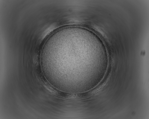 X0000091521259200708241642