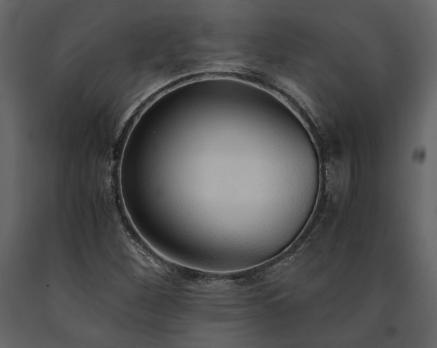 X0000091521260200708241642