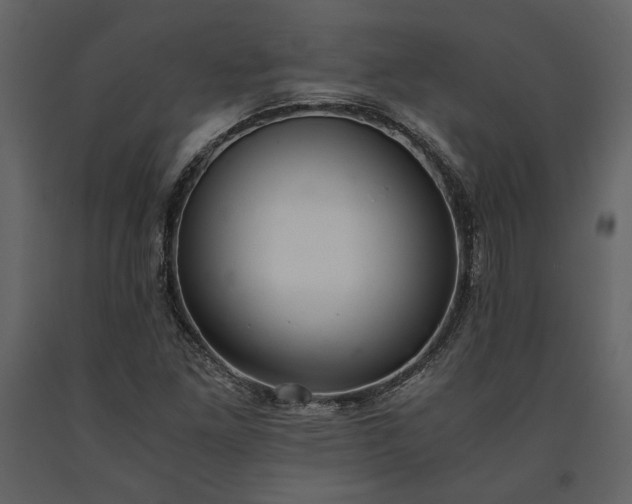 X0000091521261200708241642