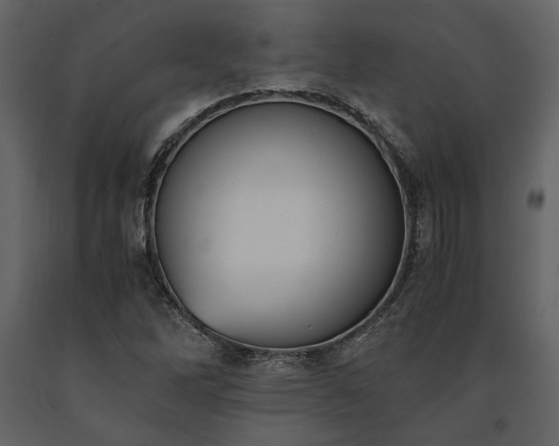X0000091521262200708241642