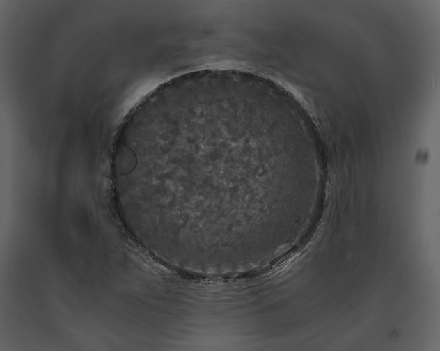 X0000091521263200708241642
