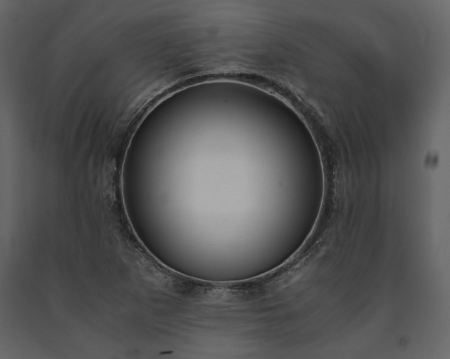 X0000091521265200708241642