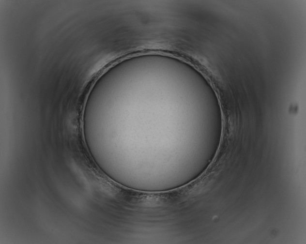 X0000091521266200708241642