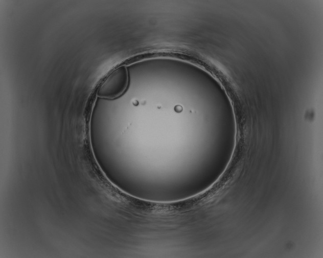 X0000091521267200708241642