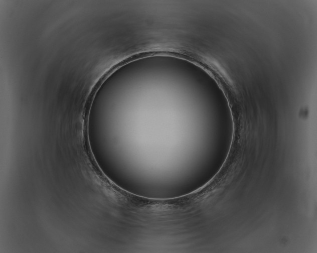 X0000091521268200708241642