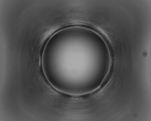 X0000091521269200708241642