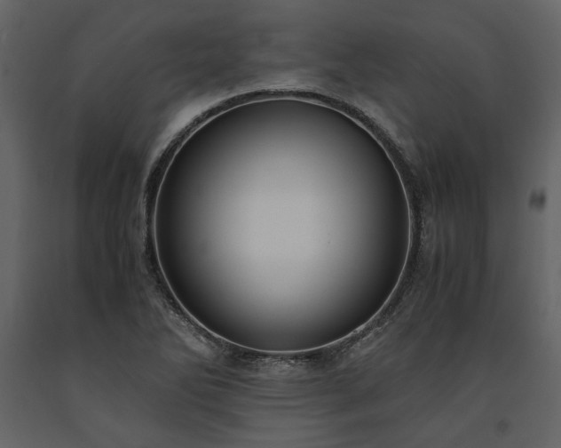 X0000091521270200708241642