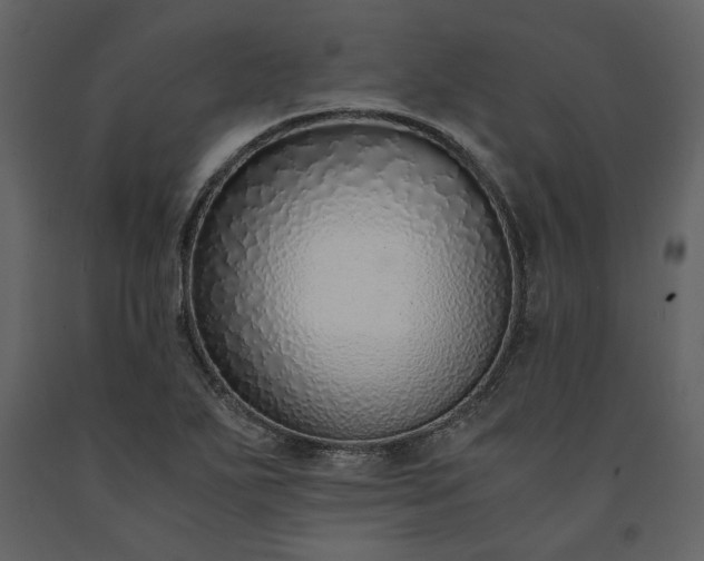 X0000091521271200708241642
