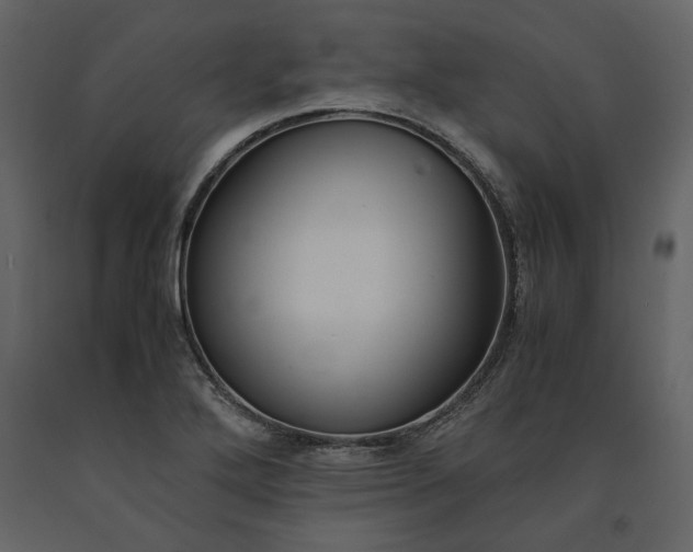 X0000091521272200708241642