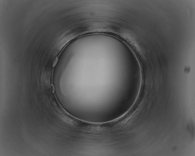 X0000091521273200708241642