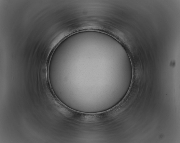 X0000091521274200708241642