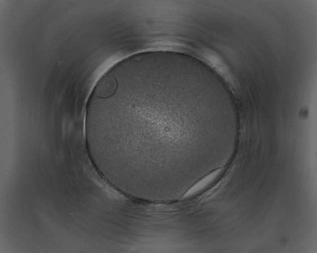 X0000091521275200708241642