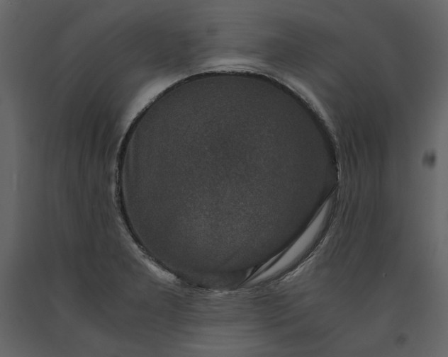 X0000091521277200708241642