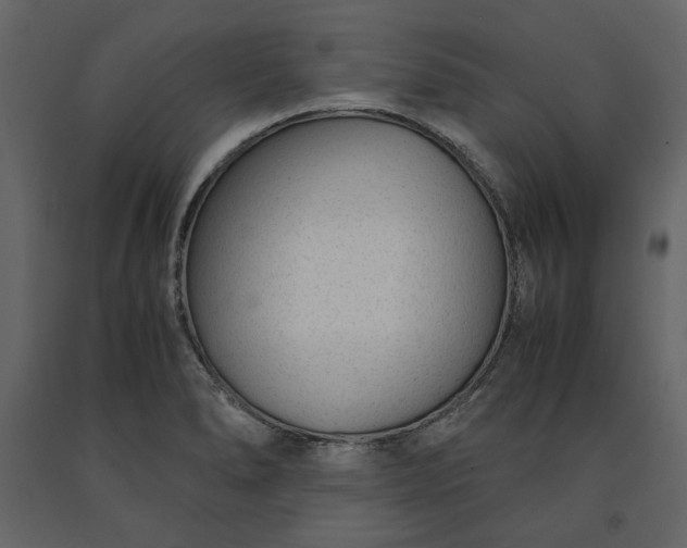 X0000091521278200708241642